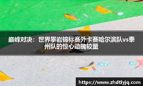 emc易倍体育平台