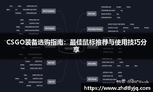 CSGO装备选购指南：最佳鼠标推荐与使用技巧分享